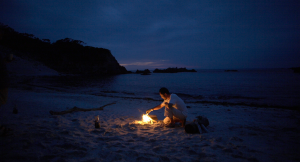 Houx Knew Book a call