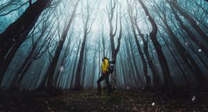 Methodology - how Houx Knew works